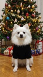 Φούτερ με Χριστουγεννιάτικη στάμπα - Image 3