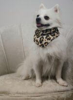 Μπαντάνα Λεοπάρ