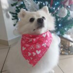 Μπαντάνα Ροζ 65cm