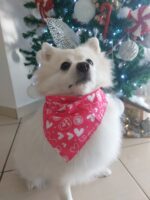 Μπαντάνα Ροζ 65cm