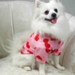 Ζακέτα Για Σκύλους - Ροζ Με Καρδούλες