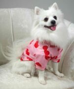 Ζακέτα Για Σκύλους - Ροζ Με Καρδούλες