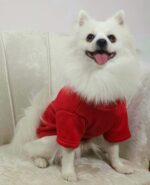 Φούτερ Για Σκύλους - Κόκκινο Με Στάμπα Love - Image 4