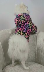 Ζακέτα Λεοπάρ Για Σκύλους - Image 5