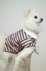 Μπλουζάκι Για Σκύλους - Ροζ Ριγέ - Image 4