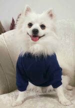 Φούτερ Μπλέ Για Σκύλους - Με Στάμπα Αρκουδάκι - Image 4