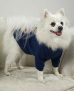 Φούτερ Μπλέ Για Σκύλους - Με Στάμπα Αρκουδάκι - Image 3