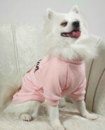 Φούτερ Για Σκύλους - Με Στάμπα Αρκουδάκι - Image 2