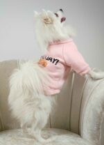 Φούτερ Για Σκύλους - Με Στάμπα Αρκουδάκι