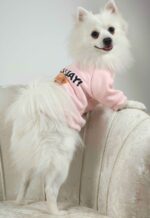 Φούτερ Για Σκύλους - Με Στάμπα Αρκουδάκι - Image 5