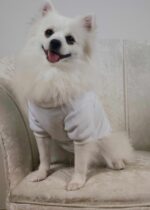 Φούτερ Για Σκύλους - Με Στάμπα Πατουσίτσα - Image 5