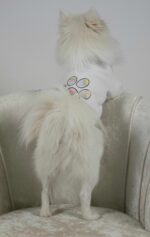 Φούτερ Για Σκύλους - Με Στάμπα Πατουσίτσα