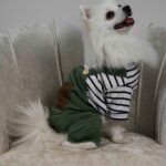 Ολόσωμη Φόρμα Για Σκύλους