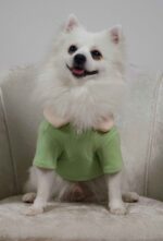 Πράσινο Μπλουζάκι Για Σκύλους - Με Φιόγκους - Image 3