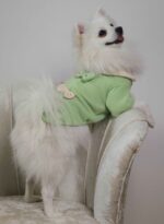 Πράσινο Μπλουζάκι Για Σκύλους - Με Φιόγκους