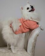 Μπλουζάκι Για Σκύλους - Σομόν Με Φιόγκους - Image 2