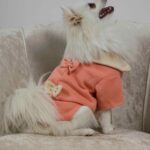 Μπλουζάκι Για Σκύλους - Σομόν Με Φιόγκους