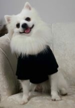 Φούτερ Για Σκύλους - Μαύρο Με Στάμπα Πατουσίτσα - Image 4