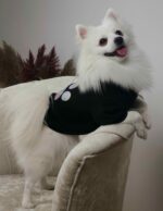 Φούτερ Για Σκύλους - Μαύρο Με Στάμπα Πατουσίτσα - Image 3