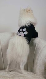 Φούτερ Για Σκύλους - Μαύρο Με Στάμπα Πατουσίτσα