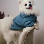 Φούτερ Για Σκυλάκια - Μπλε