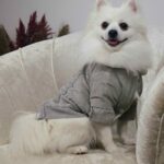 Μπουφάν Για Σκύλους - Γκρί Με Γουνάκι