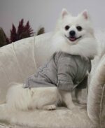 Μπουφάν Για Σκύλους - Γκρί Με Γουνάκι