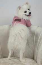 Μπουφάν Για Σκύλους - Ρόζ Με Γουνάκι - Image 2