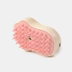 Βούρτσα με ατμό