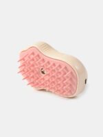 Βούρτσα με ατμό