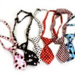 Γραβάτα Σκύλου Με Ρυθμιζόμενο Ιμάντα