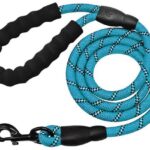 Οδηγός Βόλτας με Neoprene Λαβή Large – Μπλέ