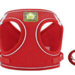 Σαμαράκι Love Has Support – Κόκκινο