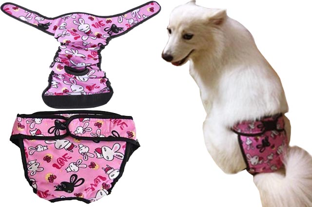 SW004P.jpg Βρακάκι Μαγιό Σκύλου Πολλαπλών Χρήσεων Αδιάβροχο - Image 1