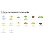 Conditioner Κατοικιδίων Top Dog 200ml - Image 3