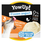 Yowup Ice Cream Salmon Tartar Παγωμένο Γιαούρτι 110gr